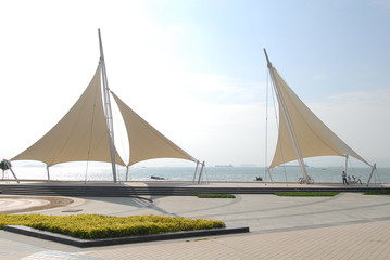 四季花开还香味浓郁的花卉有哪些？