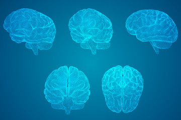 适合室内养的宠物有哪些？