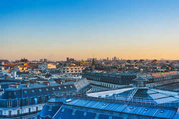 人体生理学的主要内容