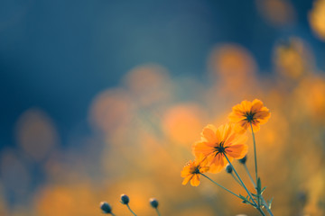 为什么一天有24小时