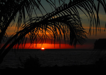 低碳环保生活小知识