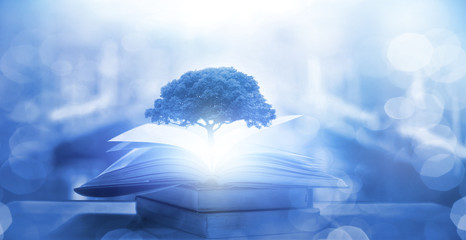 这些人是谁（神奇宝贝）