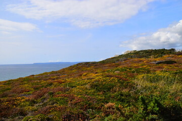 明清民窑瓷器鉴定与马未都如何鉴定瓷器？