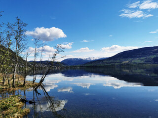 中国5G发展为什么能引领全球？