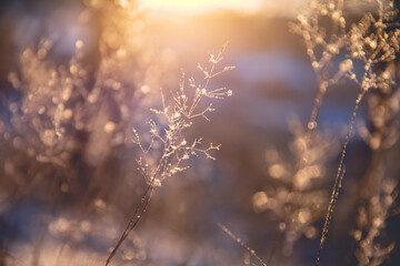 大学里哪些专业不用学高数