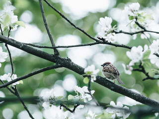 文化软力量在国家战略中的地位和作用