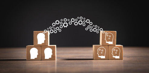 人体生理学的主要内容