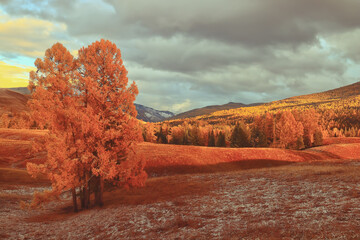数学趣味书籍推荐书目