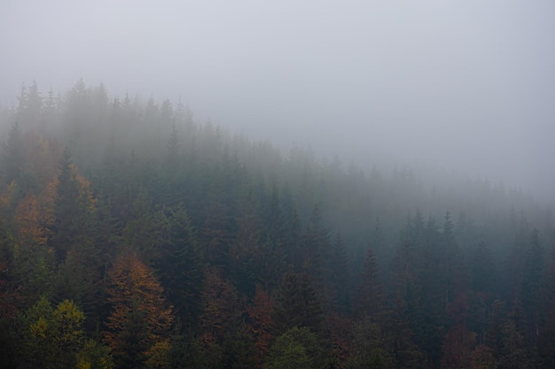 什么是历史学科的核心素养？