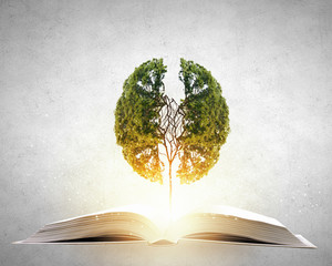 内墙乳胶漆施工方案步骤