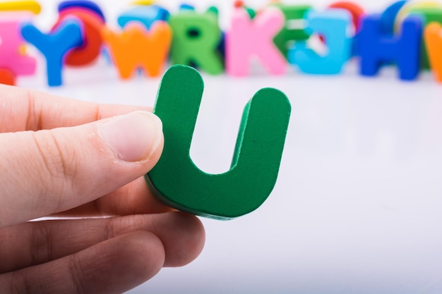 世界七大艺术门类是什么