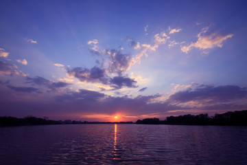 四季花开还香味浓郁的花卉有哪些？