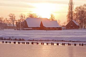 远古琥珀中的史前生物真的能够被克隆复活吗？