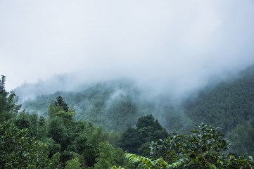 书香校园手抄报 书香校园手抄报简单又漂亮